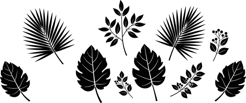Silhouette Illustration of Decorative Leaf and Branch Designs Depicting Natural Foliage Elements for Botanical Artwork and Creative Patterns