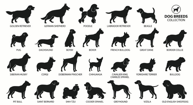 Collection of various dog breed silhouettes isolated on white background