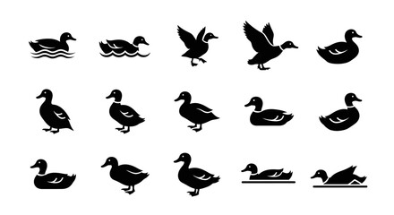 Obraz premium Versatile collection of black duck silhouettes in various poses, including swimming, flying, standing, and walking, ideal for diverse graphic design projects and wildlife-themed illustrations