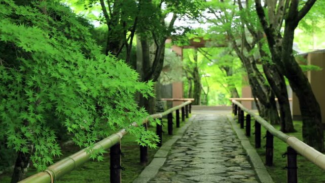 光悦寺　参道