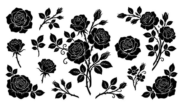 Decorative floral vector composition of black roses bouquet elements and isolated flower heads on white background