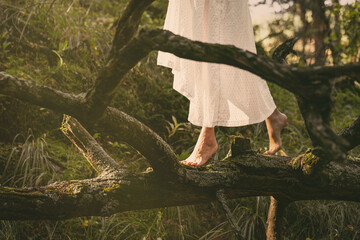 Obraz premium Faceless barefoot woman in white vintage dress walking on a mossy fallen tree trunk in enchanted forest, atmospheric cinematic, close-up shot.