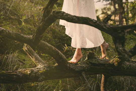 Faceless barefoot woman in white vintage dress walking on a mossy fallen tree trunk in enchanted forest, atmospheric cinematic, close-up shot.
