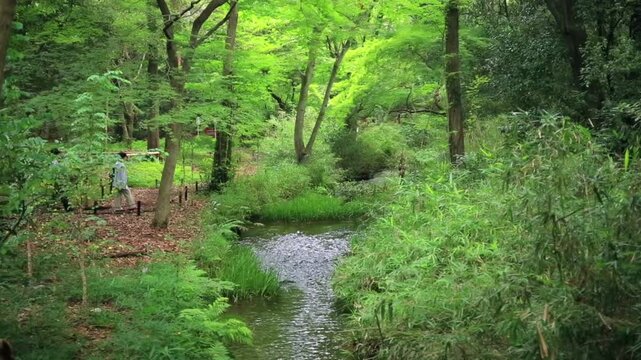 下鴨神社　糺の森