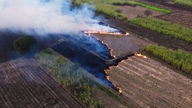 dry fields burning with smoke and plants at digwal, Zaheerabad, Sangareddy, telangana, india. day time, stable shot, drone shot, 4k.