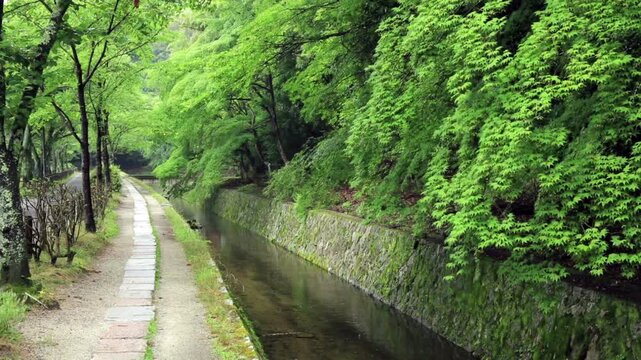 哲学の道