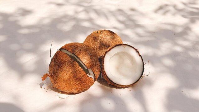 Fresh Tropical Coconuts, Whole and Cracked, with Sunny Shadows