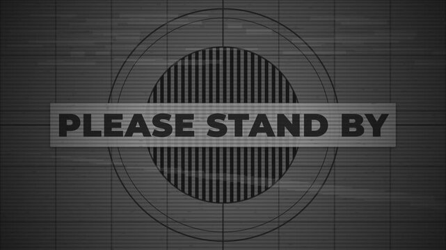 TV test pattern screen showing Please Stand By text with heavy digital glitch signal interference and CRT scanlines.