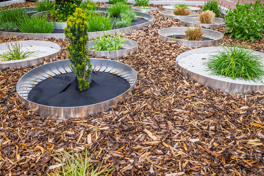 Mulching for flowers and plants, against weeds in a garden