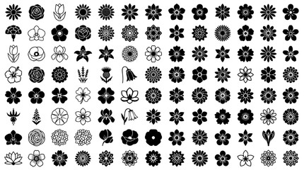Fototapeta premium Flowers hand drawn set with black and white line art, various shapes and sizes, botanical illustrations, floral patterns, decorative elements