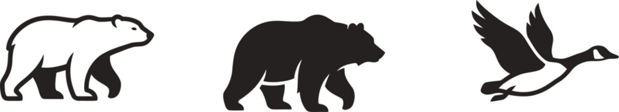 Black and white illustrations of a polar bear, grizzly bear, and Canada goose in profile
