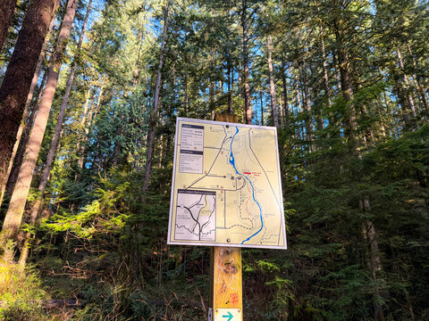 Vancouver , Canada - January 2026: Trail map signpost at Lynn Canyon Park showing hiking routes and you are here marker surrounded by tall conifer forest in North Vancouver