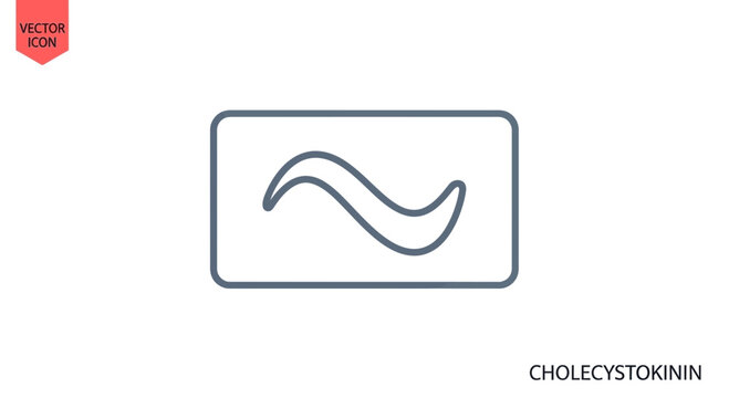 Cholecystokinin CCK Hormone Peptide Structure Icon Vector