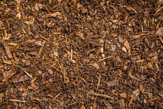 Wood chips as a background, mulching against weeds in a garden