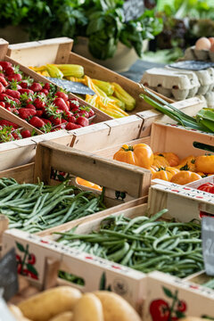 A vegetable stall with fresh farm vegetables at the market