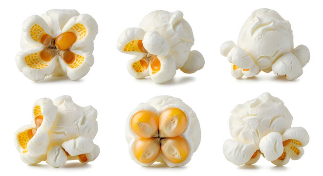 Multiple pieces of fresh fluffy popcorn are arranged in a group to showcase their unique textures and golden kernels
