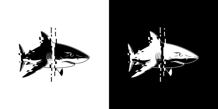 Monochromatic Shark Illustration - A Study in Contrasts and Form.