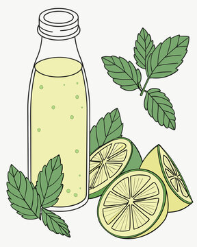 Refreshing lime juice in a glass bottle with fresh green mint leaves and sliced citrus fruits for a healthy drink concept in a digital illustration