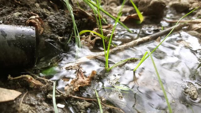 Water flowing from a black pipe into a muddy puddle on the ground in a natural outdoor setting