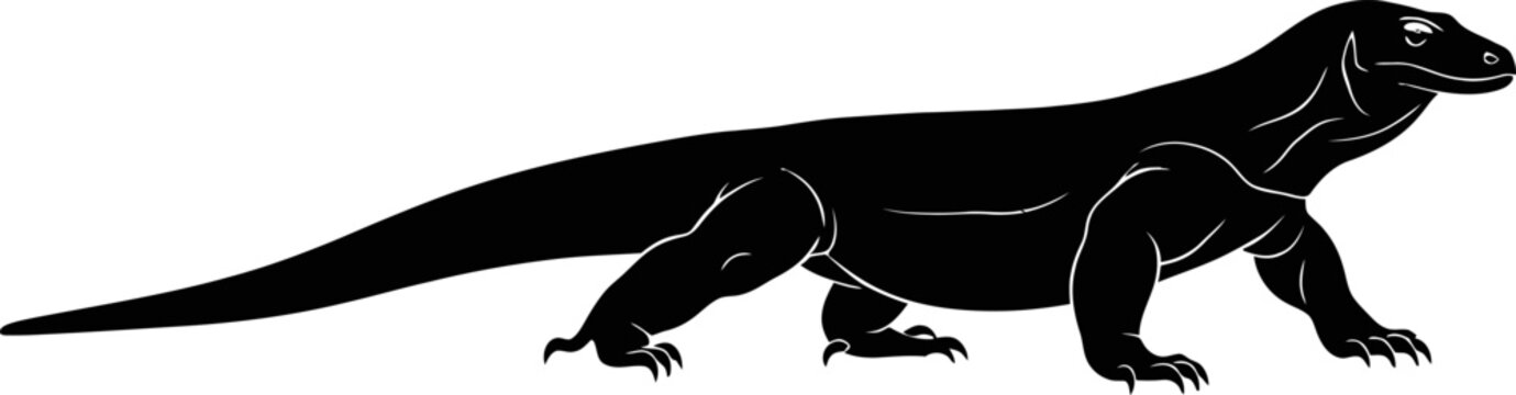 Black lizard walking on ground slowly.