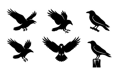 Obraz premium Minimal crow silhouette vector pack showing perched, soaring and dynamic motion poses on isolated white background