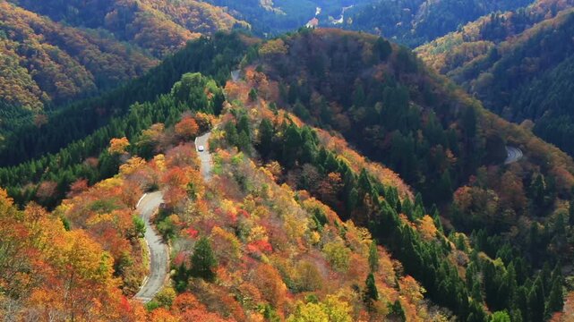 紅葉のおにゅう峠