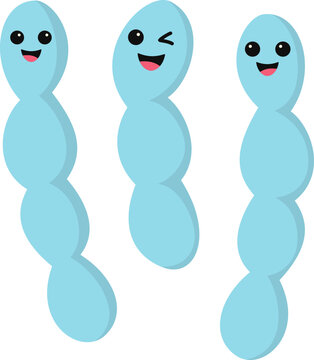 Chancroid Sexually Transmitted. Vector Isolated