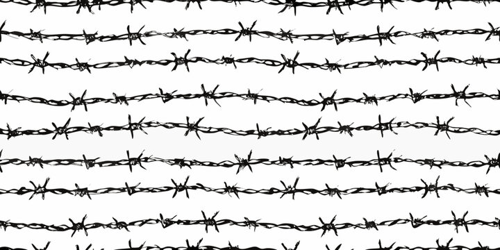 seamless pattern of black barbed wire on white background