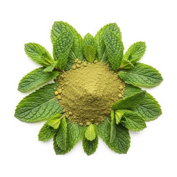 Green mint powder piled high surrounded by fresh mint leaves arranged in circle
