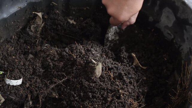 A close-up view of a hand holding a small hand shovel or trowel, digging and scooping dark, fertile organic soil filled with plant roots and dried leaves. A person's hand using a small trowel shovel t