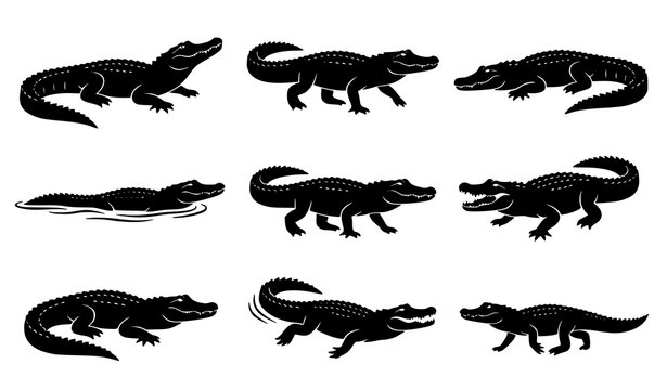 Set of realistic alligator silhouette vector illustration isolated on white background