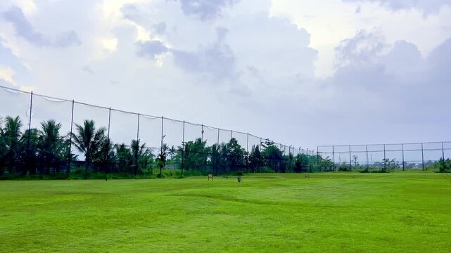 Green lawn under bright cloudy tropical sky