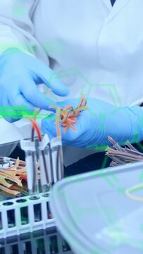 Vertical video: Gloved hands lifting orange clips, sorting and placing into rack preparing samples