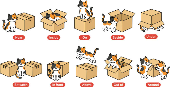 Cartoon cat preposition icons with boxes representing spatial relationships and educational learning symbol vector illustration