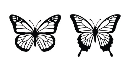 Two monarch butterfly silhouettes with detailed wing patterns on a white background silhouette © Mithon