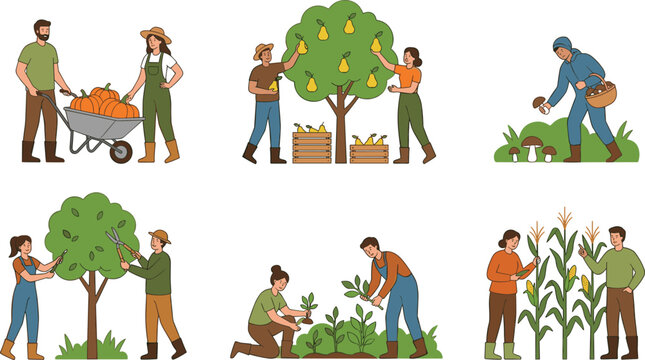 Farmers harvesting agricultural crops vector illustration set picking pears trimming trees collecting mushrooms gathering corn isolated on white background flat line cartoon style design