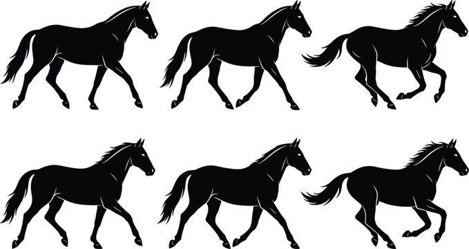 Black horse silhouette vector set featuring wild stallion running trotting galloping walking frames animal cycle animation isolated on white background illustration graphic element