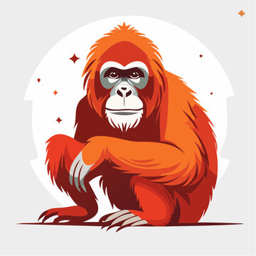 Illustration of an Orangutan