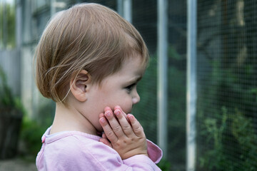 Adorable Toddler Girl Watching Animals at Zoo with Wonder © Katharina