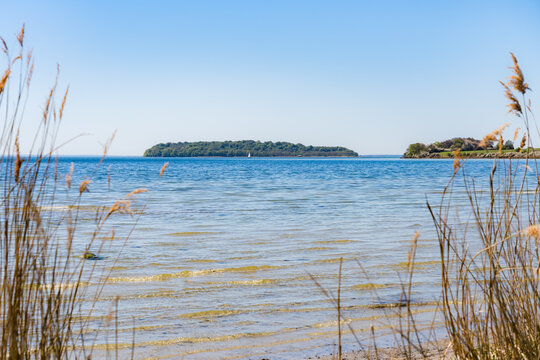 View of Vilm Island from R&uuml;gen with Sailboat and Reed Framing on a Sunny Spring Day