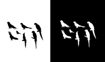 parrots silhouette set vector illustration, parrots, silhouette, silhouettes, set, vector, art, flying bird silhouette set, bundle, icon, animals, animal, black, white, wildlife, birds, bird, icons, © SUMAIRA