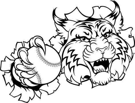 A wildcat or bobcat animal baseball or softball sports team cartoon mascot