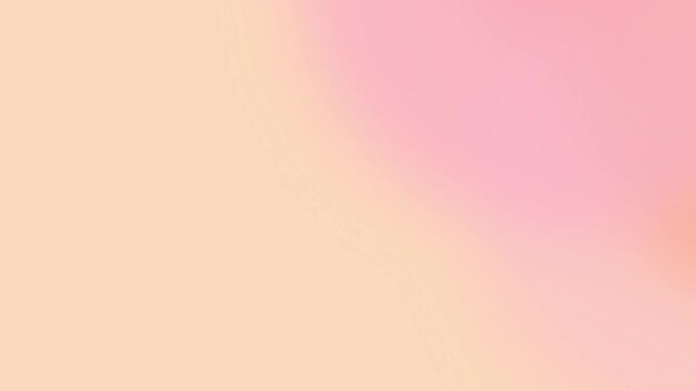 orange coral peach pink mesh gradient animation