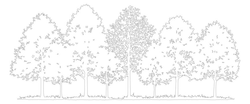 Minimalist line art tree collection, hand drawn forest silhouettes vector, thin black outline deciduous trees on white background for landscape design