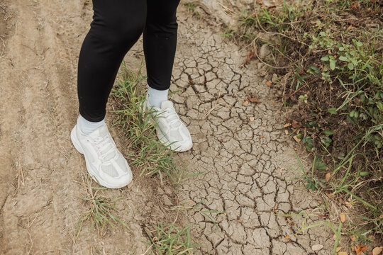Close-up of a white running shoes walking on a cracked dry mud trail surrounded by grass during an outdoor hiking adventure.