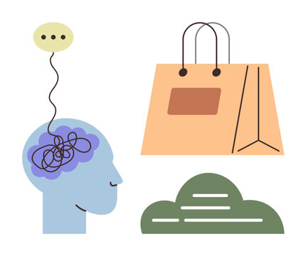 E-commerce, consumer psychology, decision-making, sustainability, cognitive processes, eco-awareness. Image of a human head, shopping bag and cloud. Consumer psychology and e-commerce concepts