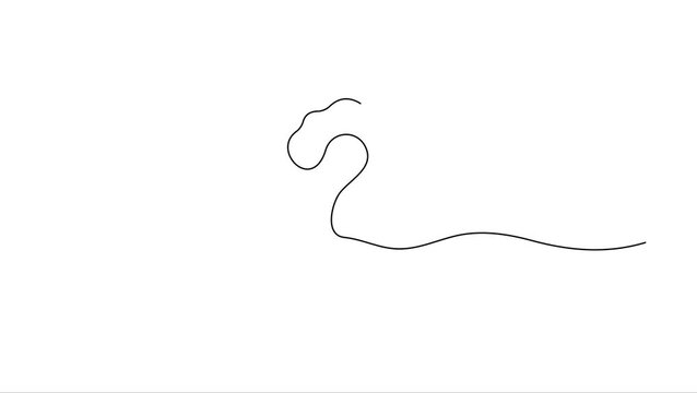 Animated self drawing Continuous line drawing Question mark, line art, minimalist design, symbol, icon