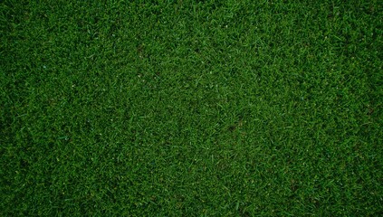 Obraz premium Vibrant green artificial grass texture with a lush and dense appearance, perfect for landscaping and sports surfaces