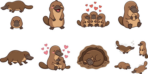 Cute Platypus Family Collection Featuring Adorable Cartoon Australian Mammals with Baby Characters and Funny Wildlife Poses Vector Illustration Style © Md