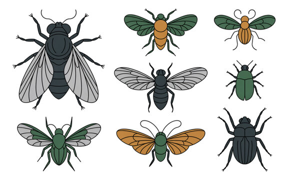 Colorful variety of bees and wasps flying illustration Vector